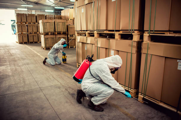 Best Emergency Pest Control  in Vero Beach, FL