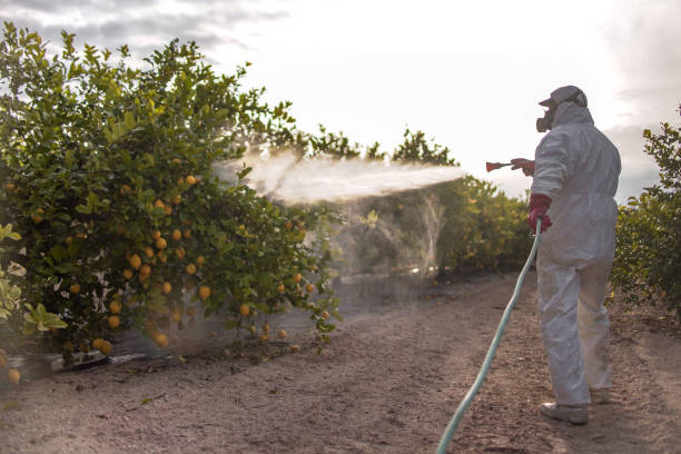 Best Pest Prevention Services  in Vero Beach, FL