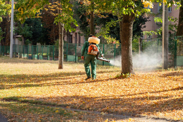 Pest Prevention Services in Vero Beach, FL