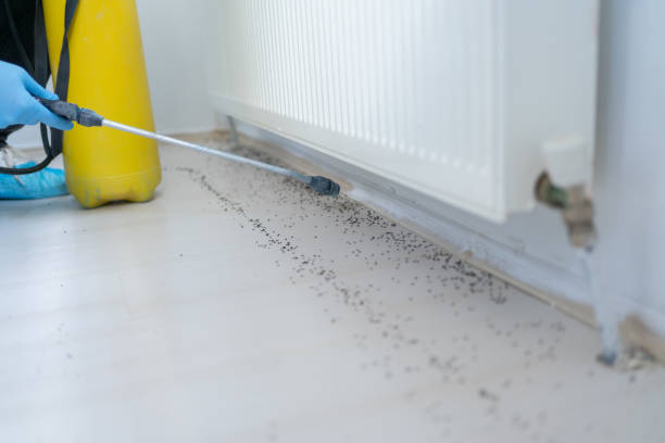 Best Pest Control Treatment  in Vero Beach, FL