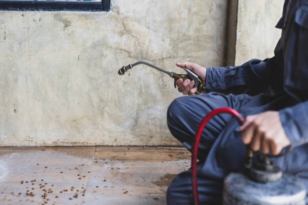 Best Residential Pest Control  in Vero Beach, FL